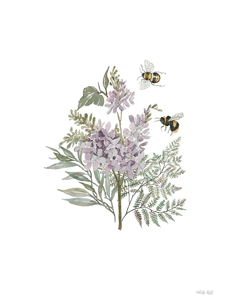 Lilac Botanical art print by Cindy Jacobs for $57.95 CAD