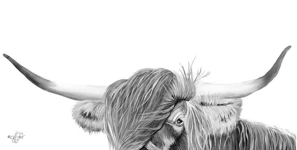 Peek-a-boo Highland art print by Diane Fifer for $57.95 CAD