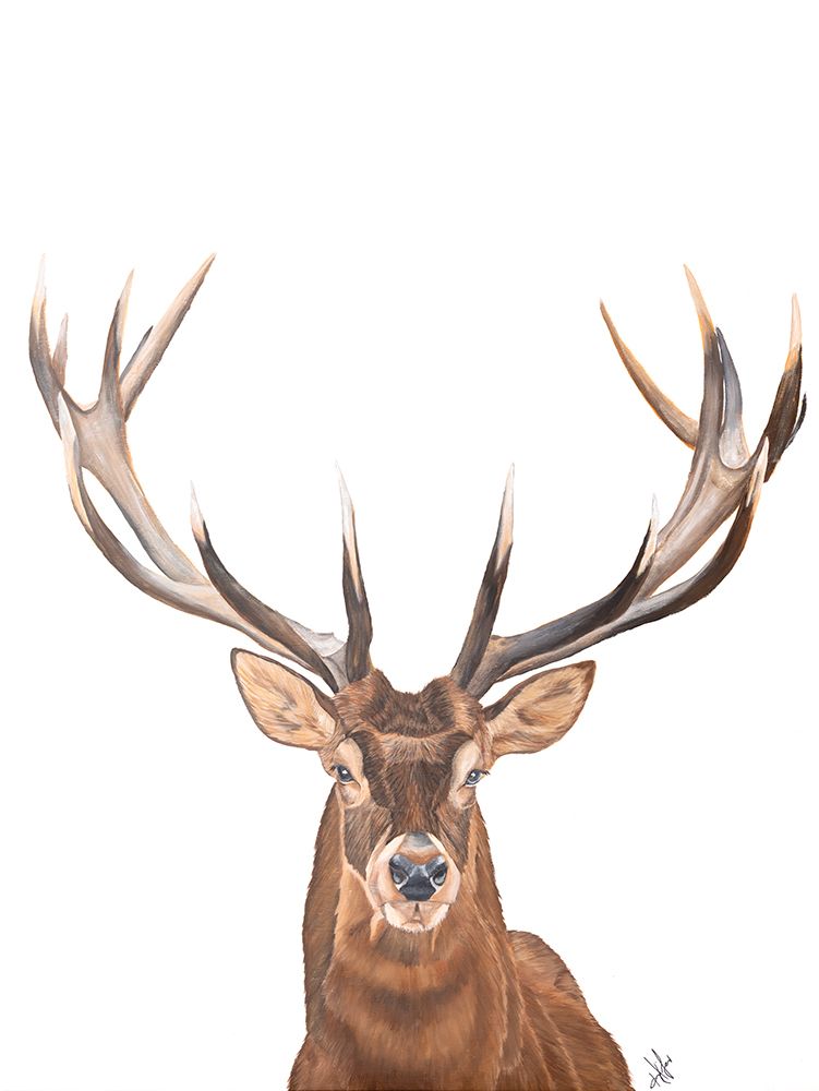 Oh Deer art print by Diane Fifer for $57.95 CAD
