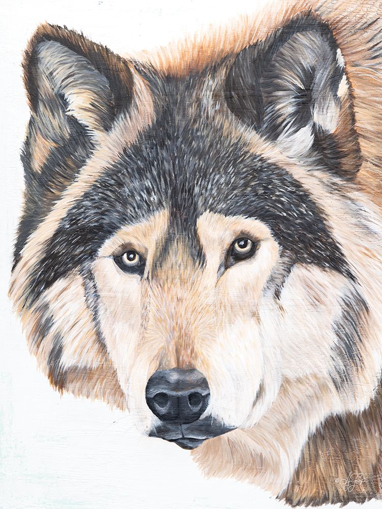 Wolf Portrait art print by Diane Fifer for $57.95 CAD