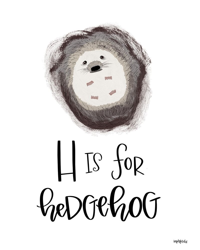 H is for Hedgehog    art print by Imperfect Dust for $57.95 CAD