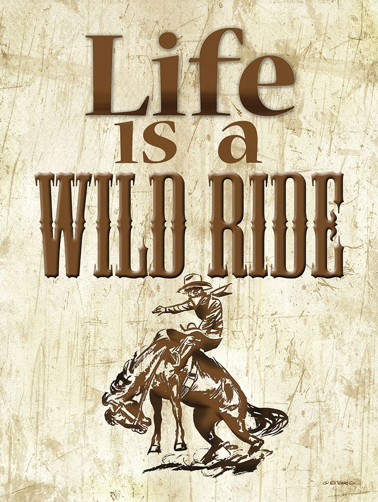 Life is a Wild Ride art print by Ed Wargo for $57.95 CAD