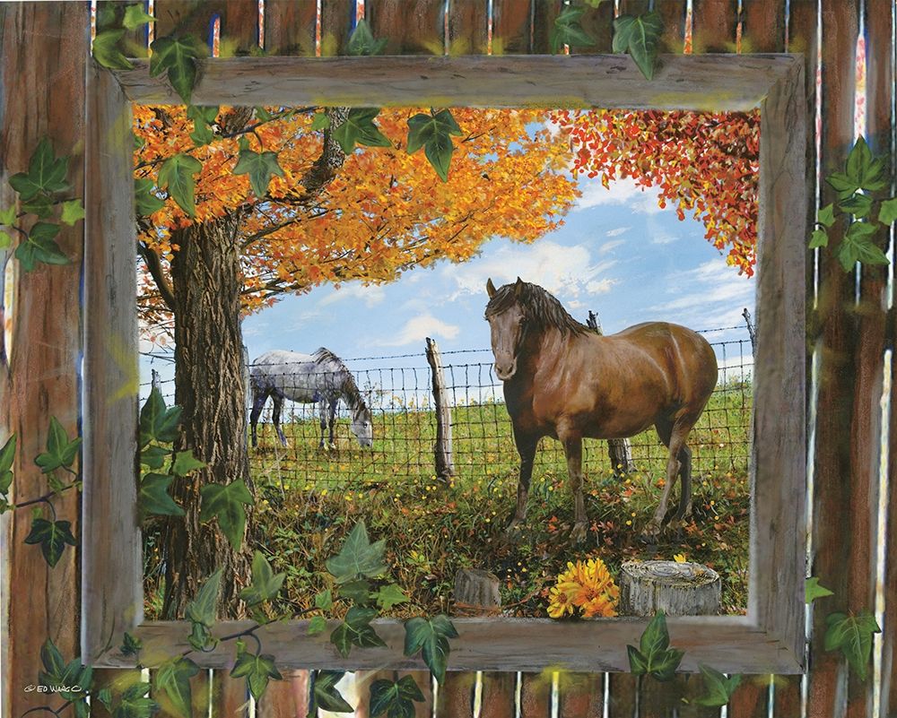 Barn View II art print by Ed Wargo for $57.95 CAD