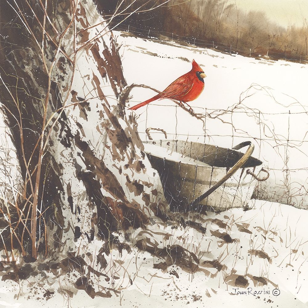 Country Cardinal art print by John Rossini for $57.95 CAD