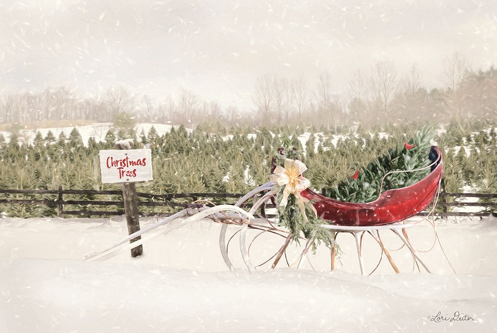 Red Sleigh at Tree Farm art print by Lori Deiter for $57.95 CAD