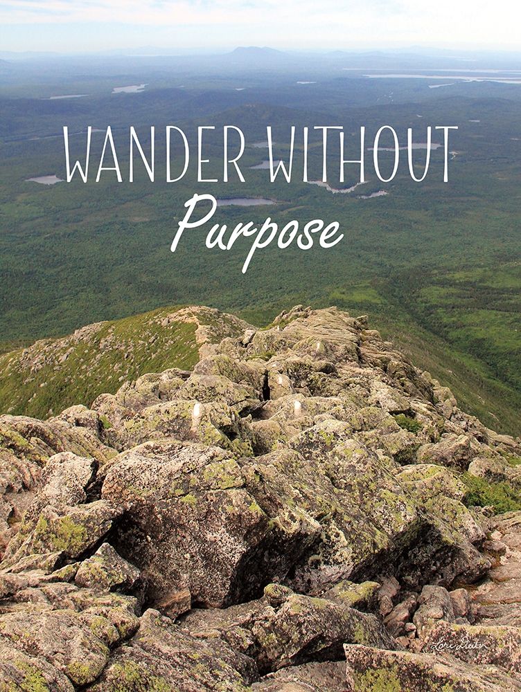 Wander Without Purpose art print by Lori Deiter for $57.95 CAD