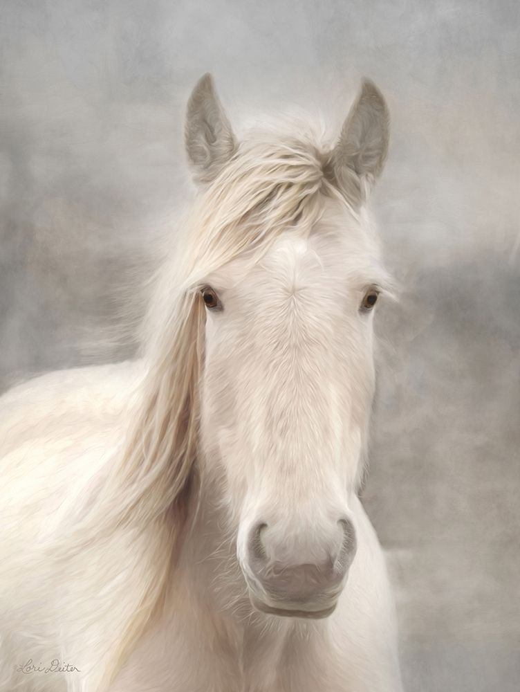White Beauty I art print by Lori Deiter for $57.95 CAD