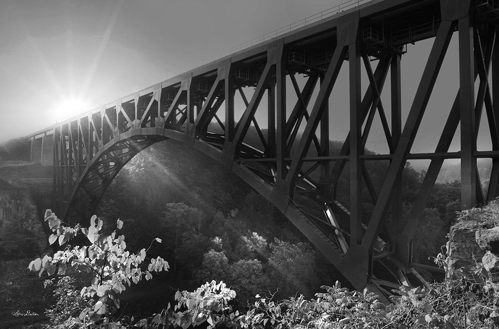 Sunrise at Letchworth Black and White art print by Lori Deiter for $57.95 CAD