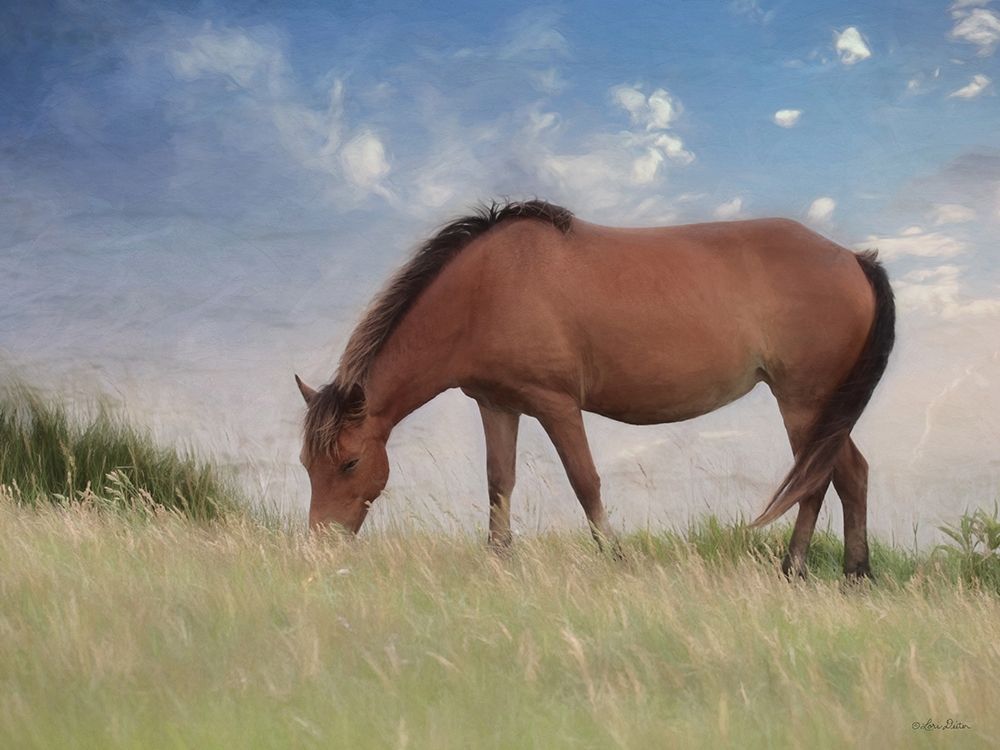 Assataegue Horse art print by Lori Deiter for $57.95 CAD
