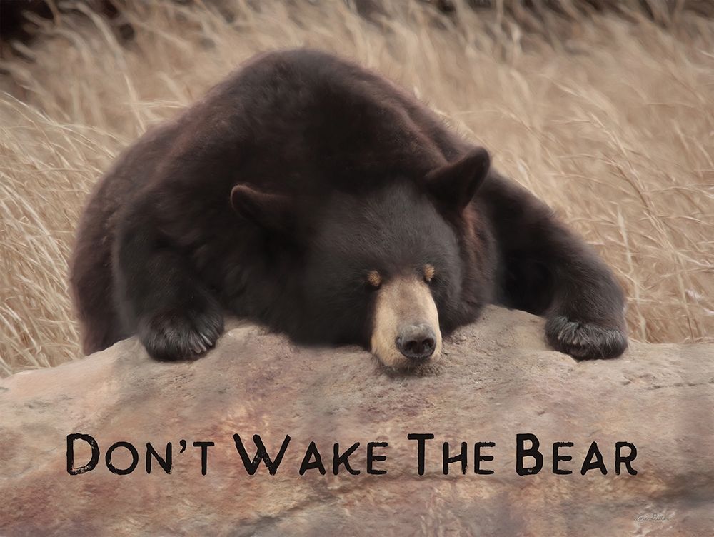 Dont Wake the Bear art print by Lori Deiter for $57.95 CAD