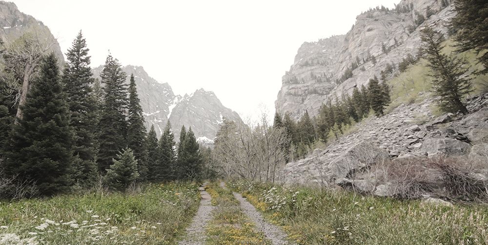 Road to Tetons art print by Lori Deiter for $57.95 CAD
