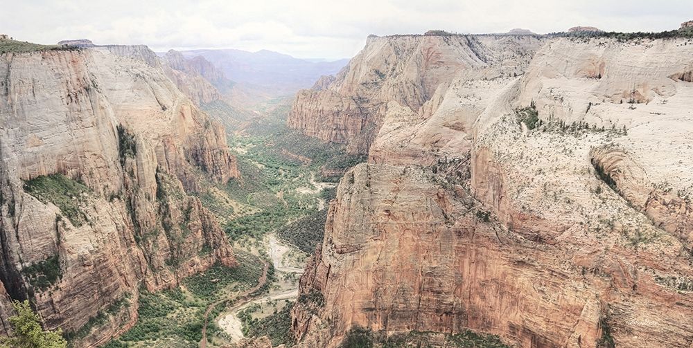 Zion National Park art print by Lori Deiter for $57.95 CAD