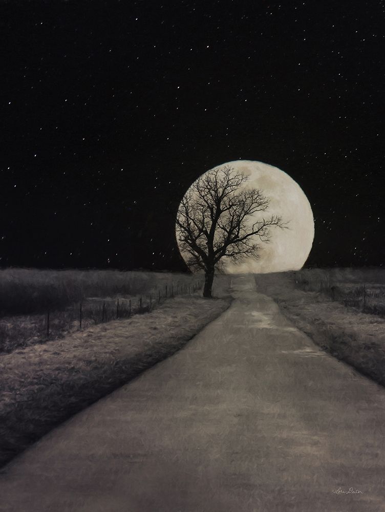Moonlit Country Road art print by Lori Deiter for $57.95 CAD
