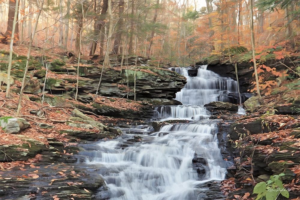 Waterfall Steps at Pigeon Run art print by Lori Deiter for $57.95 CAD