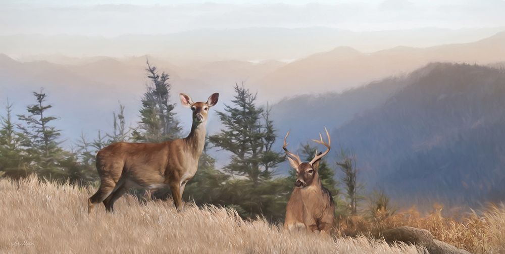 Cascade Mountain Deer art print by Lori Deiter for $57.95 CAD
