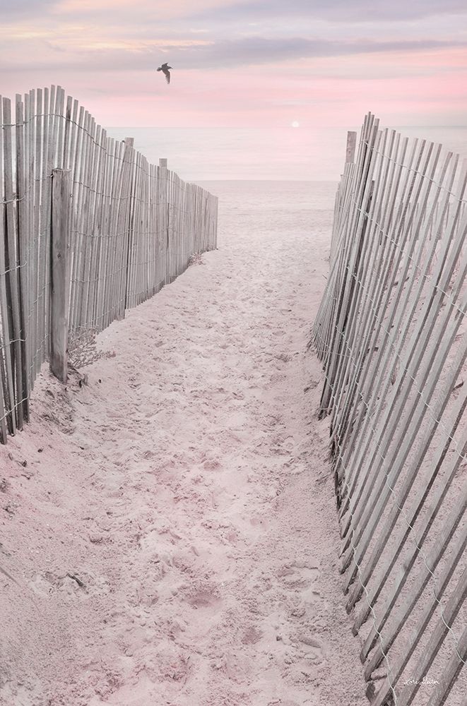 Pink Beach Sunrise art print by Lori Deiter for $57.95 CAD