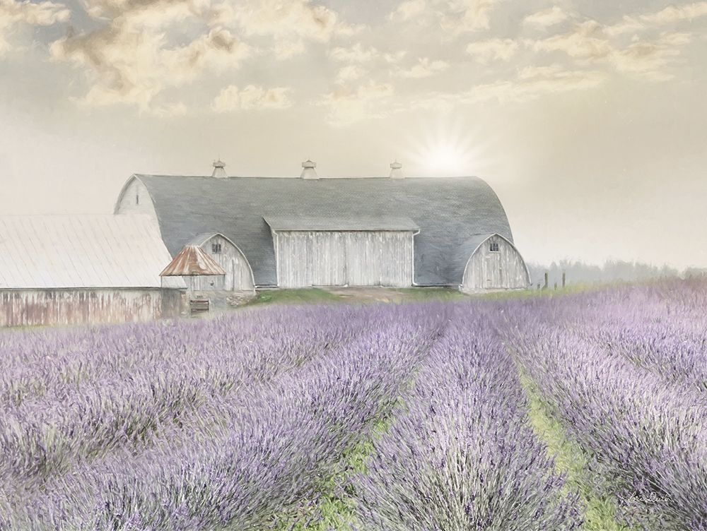Lavender Morning art print by Lori Deiter for $57.95 CAD