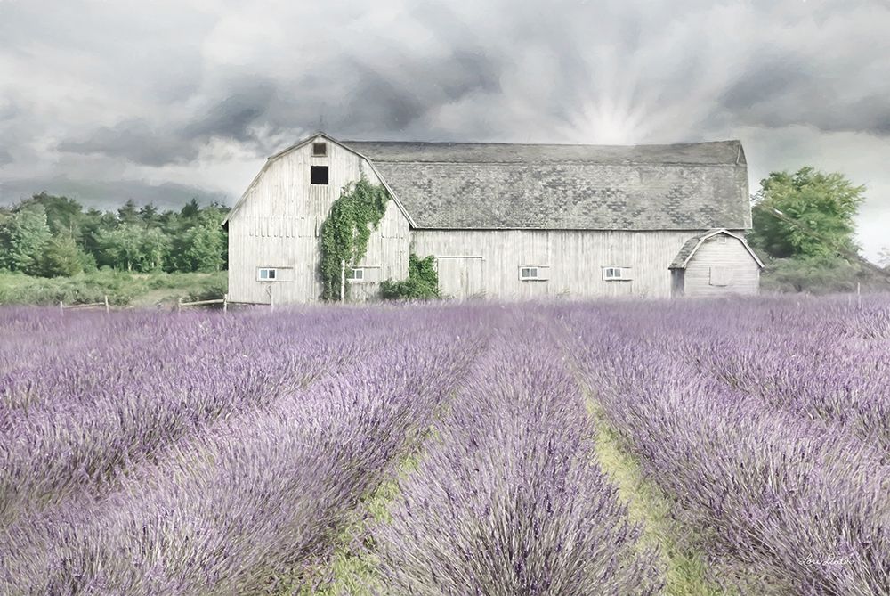 Shades of Lavender and Gray art print by Lori Deiter for $57.95 CAD
