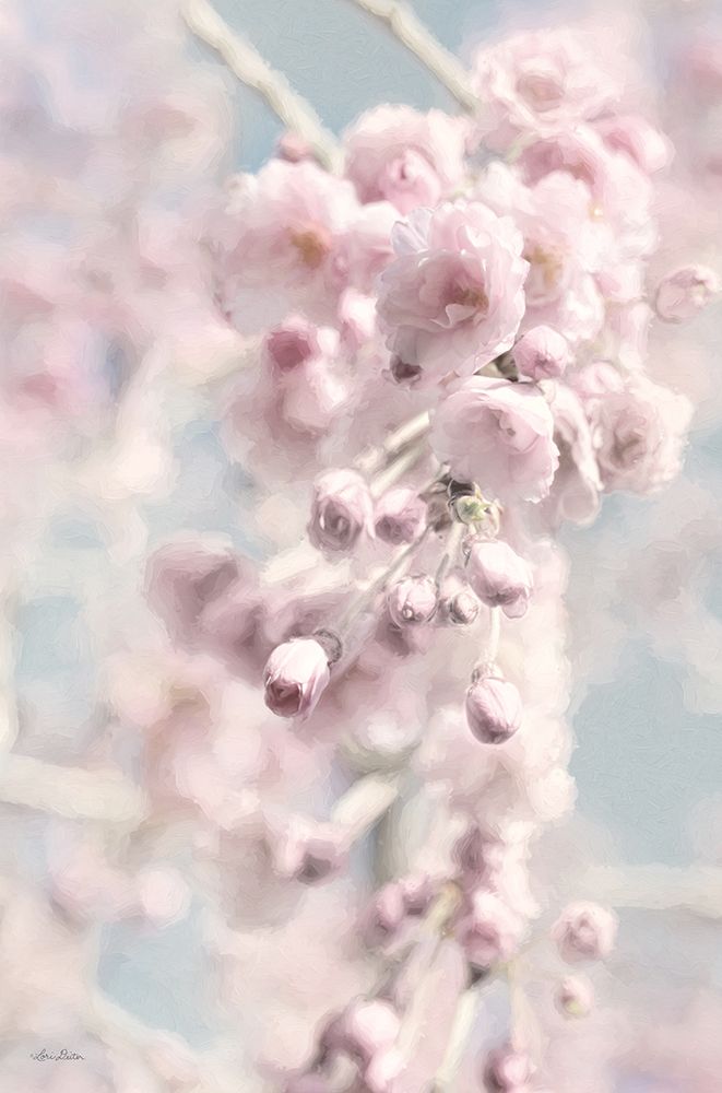 Weeping Cherry art print by Lori Deiter for $57.95 CAD