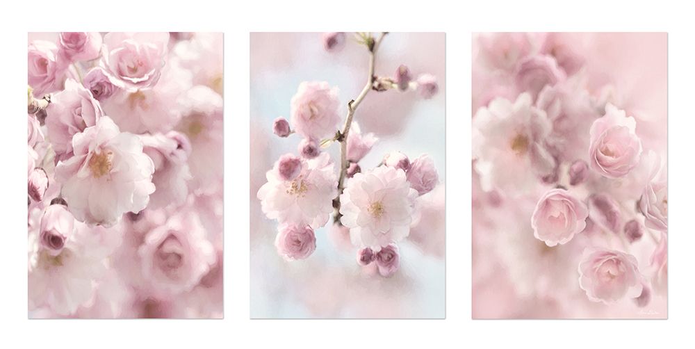 Weeping Cherry Trio art print by Lori Deiter for $57.95 CAD