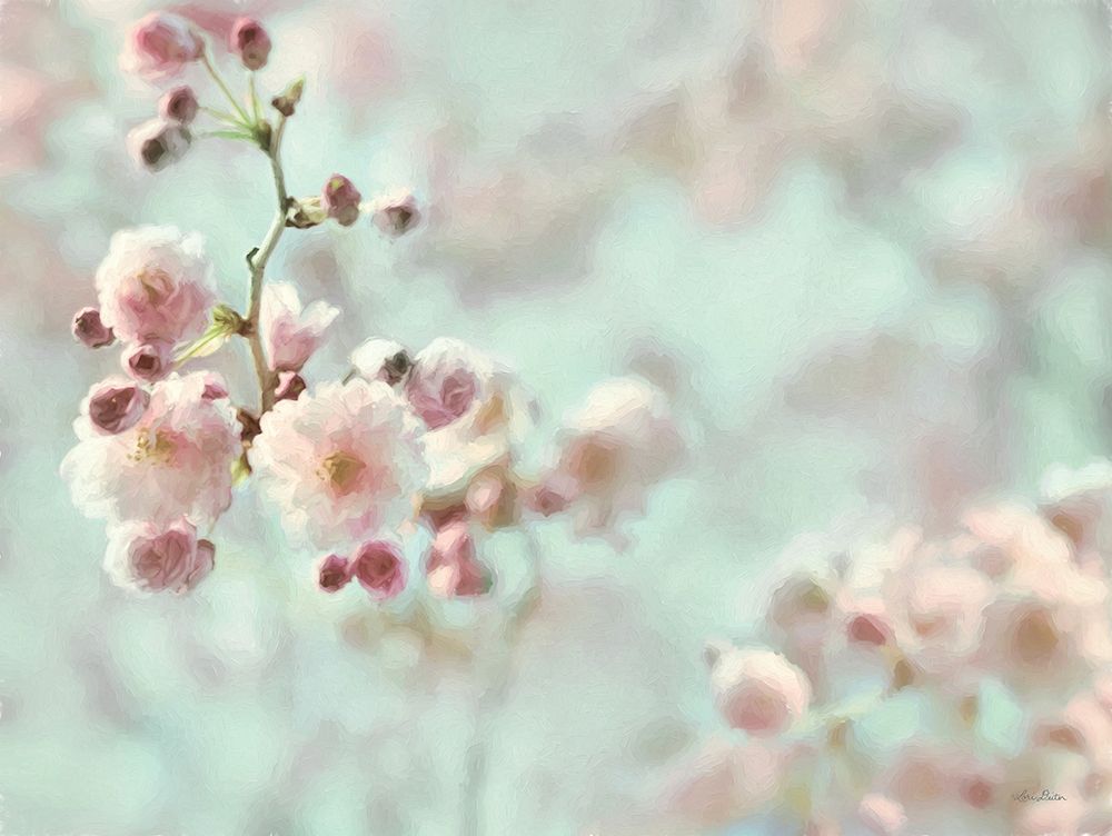 Pastel Weeping Cherry Blossom I art print by Lori Deiter for $57.95 CAD