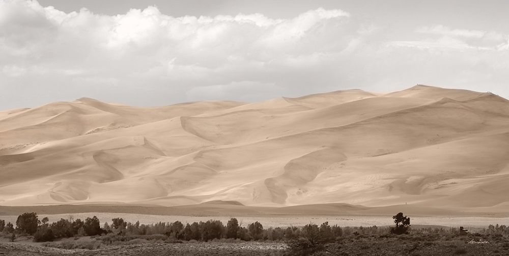 The Great Sand Dunes art print by Lori Deiter for $57.95 CAD