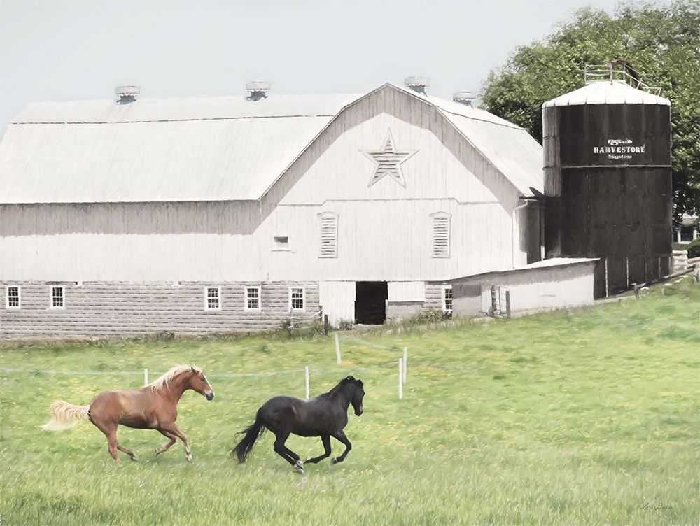 Afternoon Run on the Farm art print by Lori Deiter for $57.95 CAD