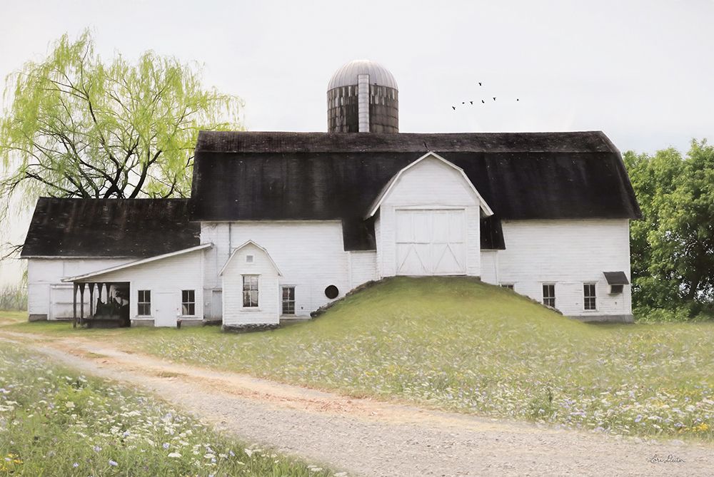 Big Country Barn art print by Lori Deiter for $57.95 CAD