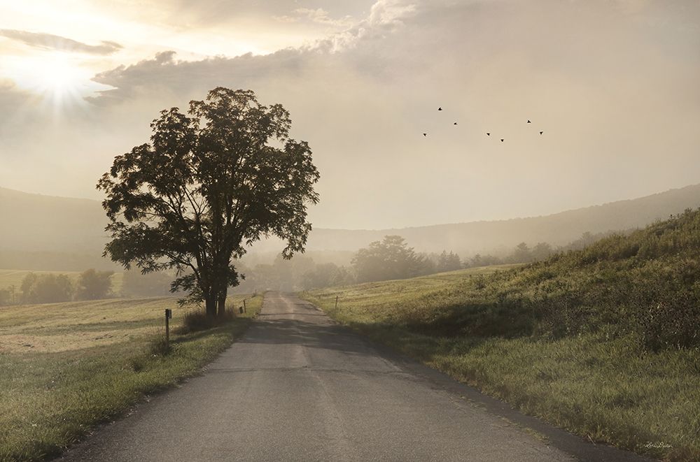 Foggy Country Road I art print by Lori Deiter for $57.95 CAD