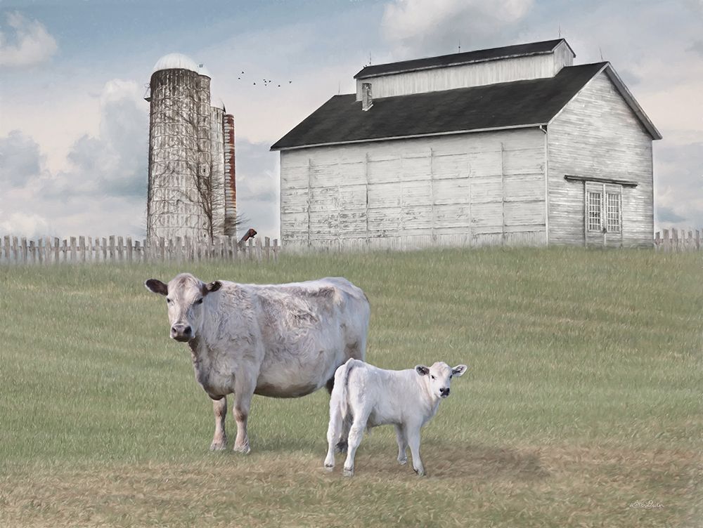 Momma and Baby Cow art print by Lori Deiter for $57.95 CAD