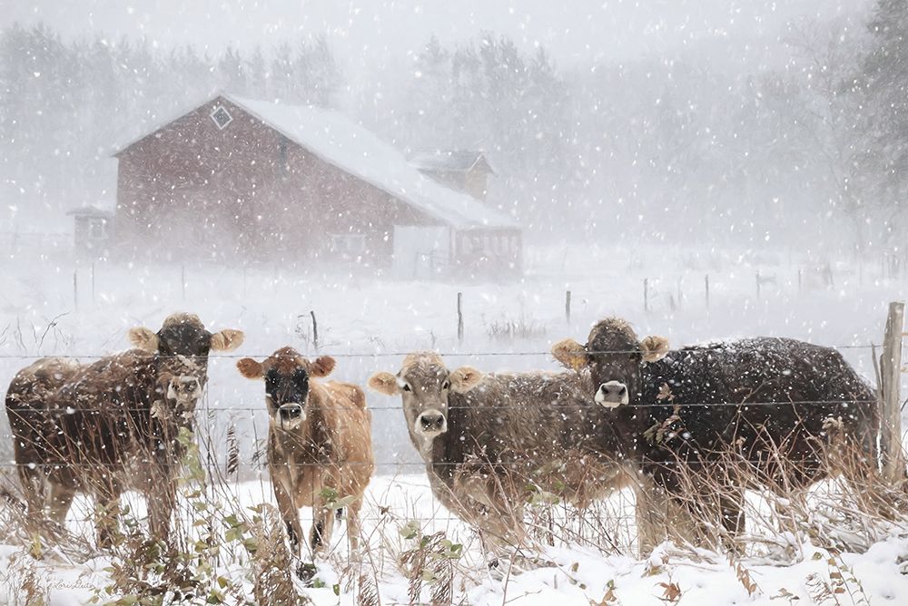 Cold Cows on the Farm art print by Lori Deiter for $57.95 CAD
