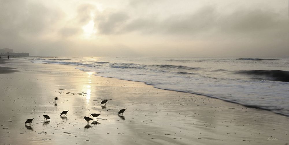 Sandpipers at Sunrise art print by Lori Deiter for $57.95 CAD