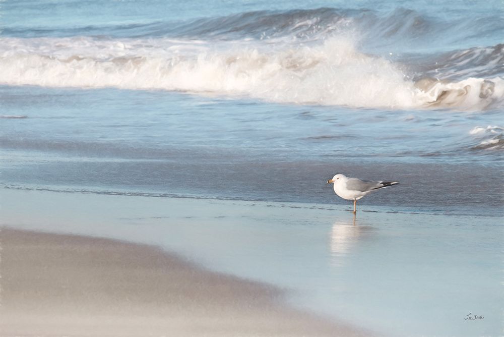 Seagull in the Sand art print by Lori Deiter for $57.95 CAD