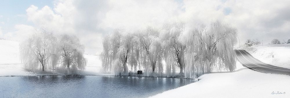 Winter Willow art print by Lori Deiter for $57.95 CAD
