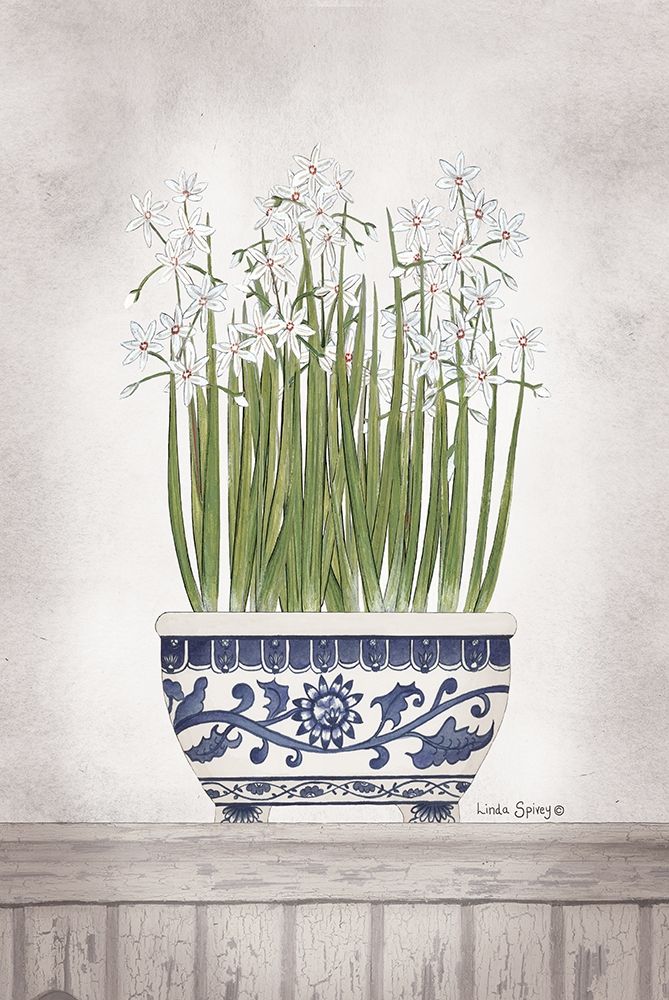 Blue and White Paperwhites II  art print by Linda Spivey for $57.95 CAD