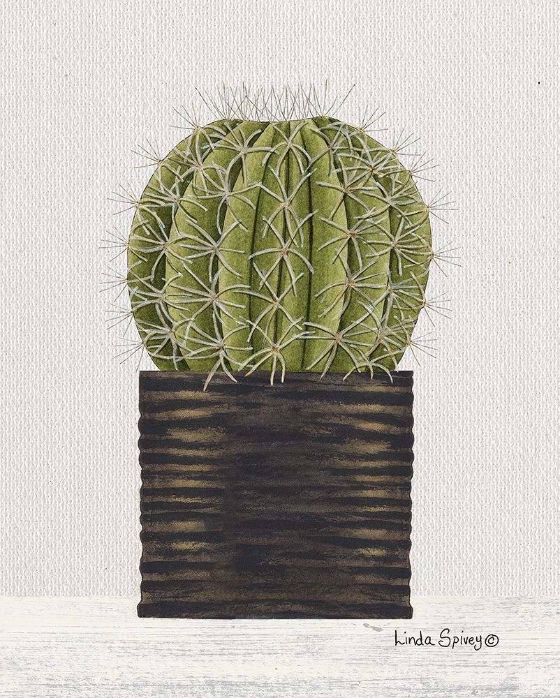 Potted Cactus art print by Linda Spivey for $57.95 CAD