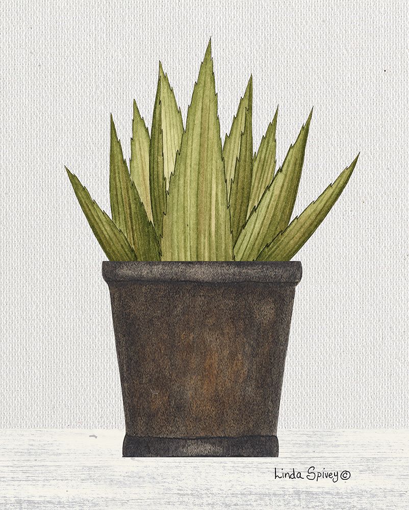 Potted Aloe Vera art print by Linda Spivey for $57.95 CAD