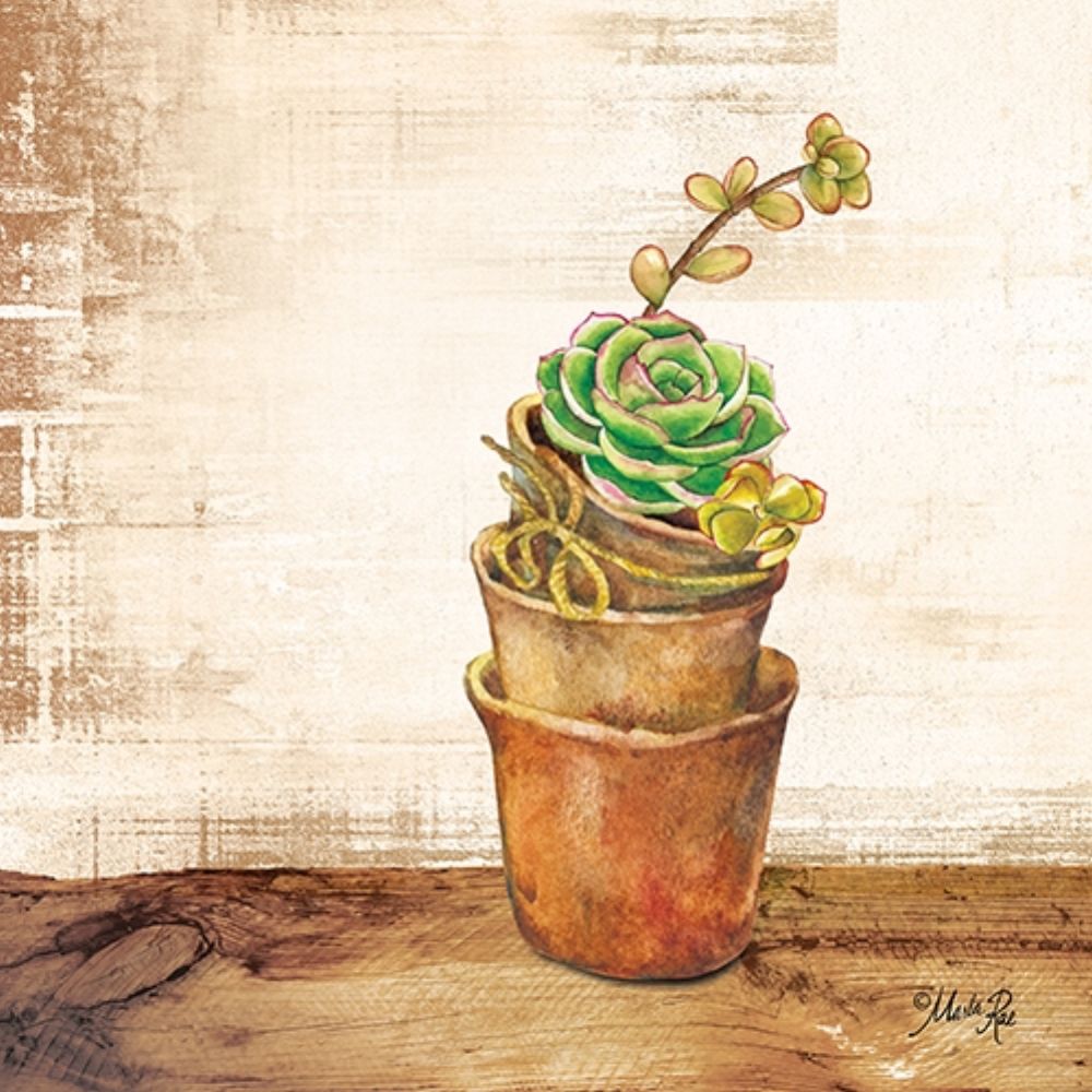 Succulents in a Pot art print by Marla Rae for $57.95 CAD