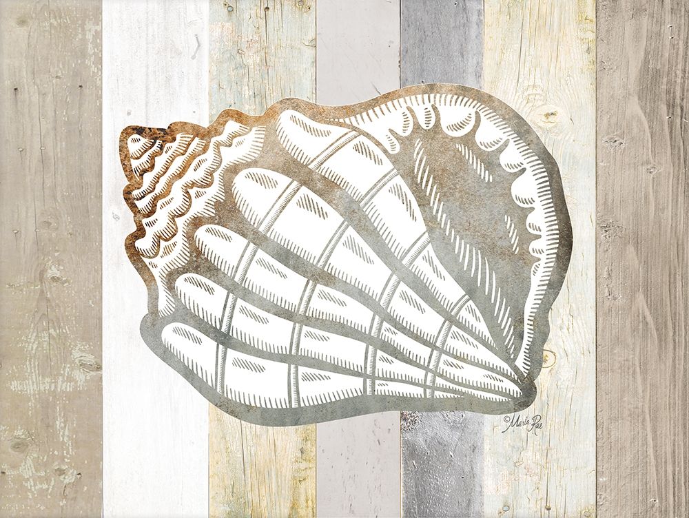 Coastal Shell I art print by Marla Rae for $57.95 CAD