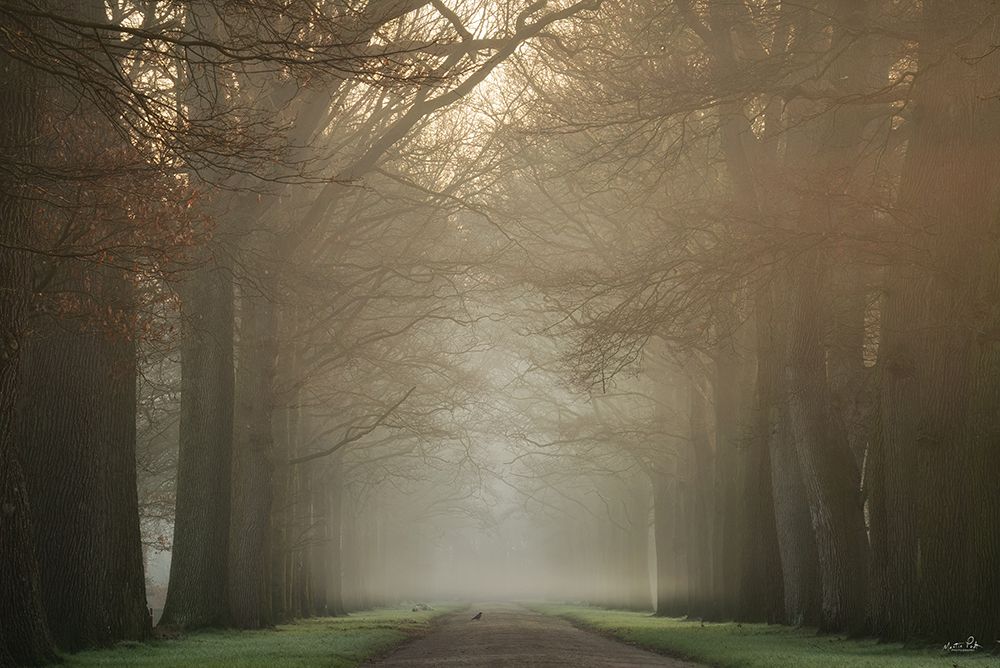On My Way art print by Martin Podt for $57.95 CAD
