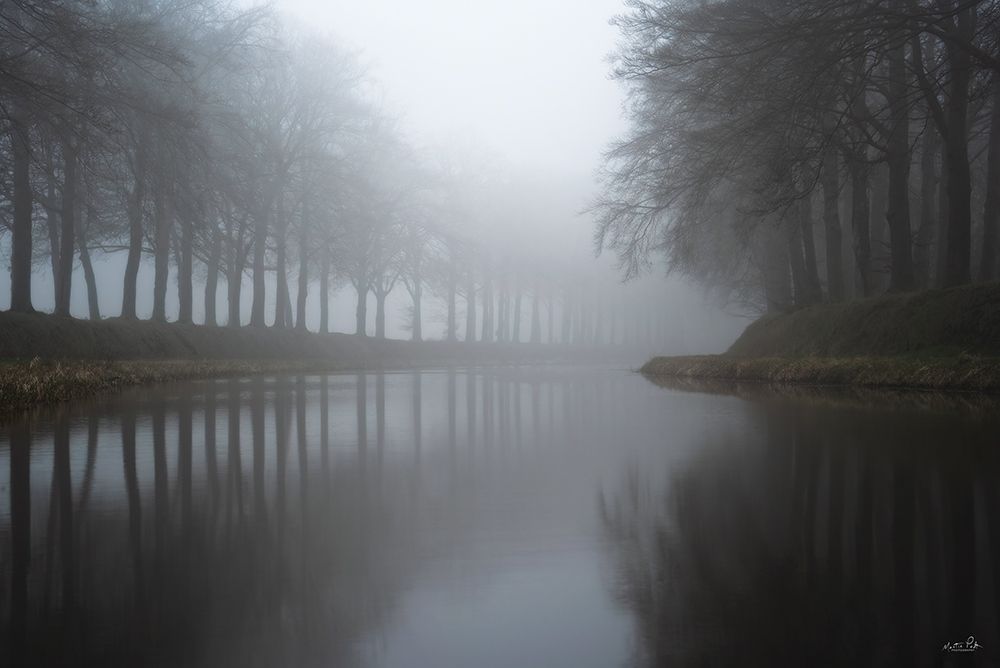 Into the Quietness art print by Martin Podt for $57.95 CAD