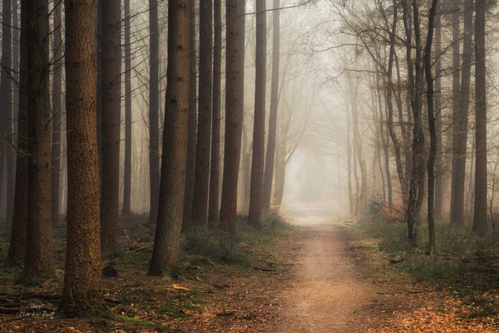 Quiet art print by Martin Podt for $57.95 CAD