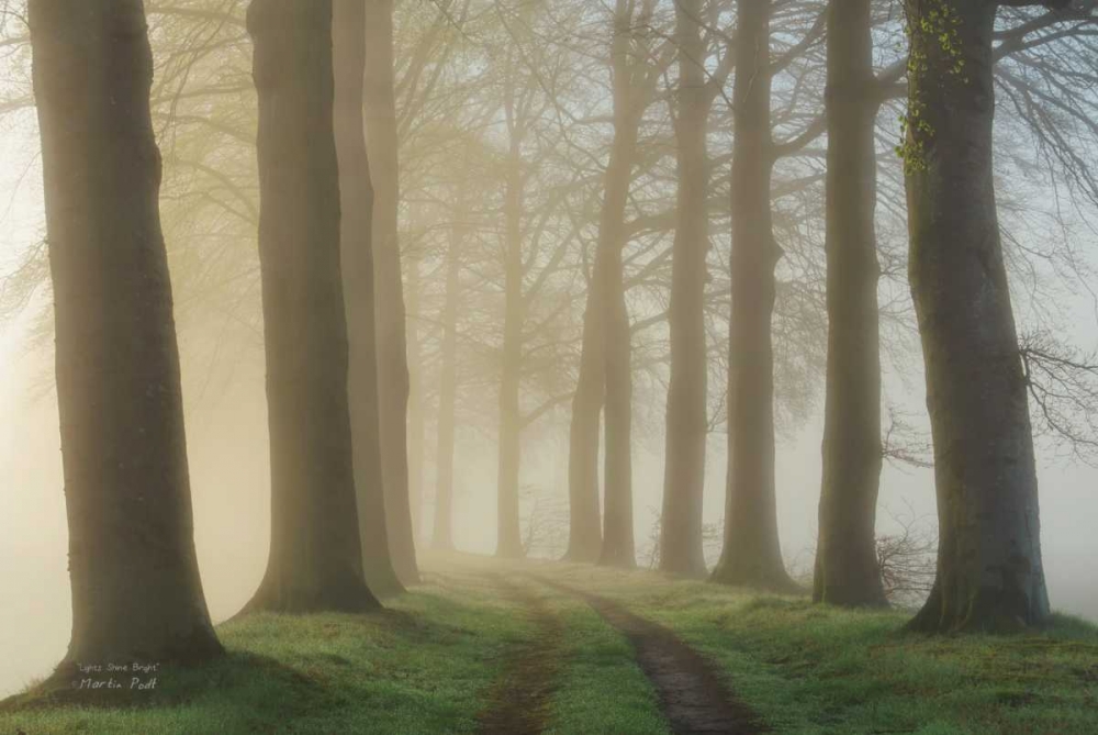Lights Shine Bright art print by Martin Podt for $57.95 CAD