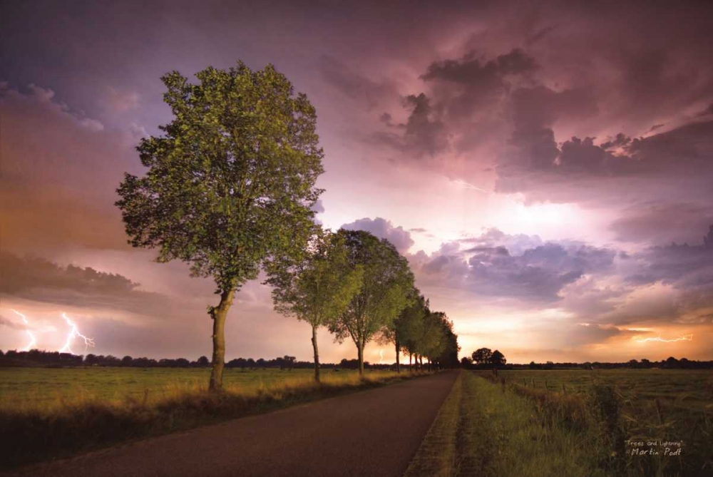 Trees and Lightning art print by Martin Podt for $57.95 CAD