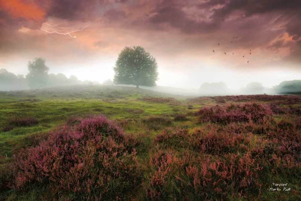 Fairyland art print by Martin Podt for $57.95 CAD