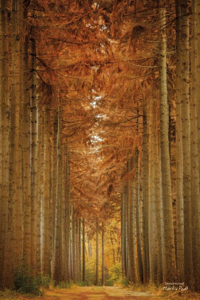 Unexpected art print by Martin Podt for $57.95 CAD