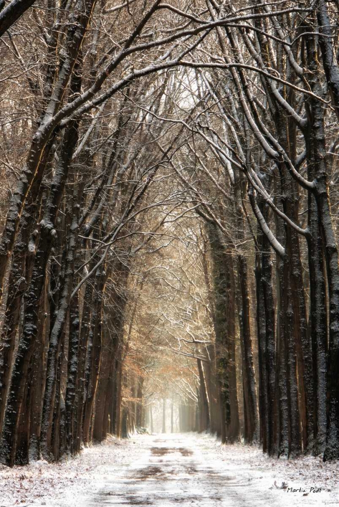 Winter art print by Martin Podt for $57.95 CAD