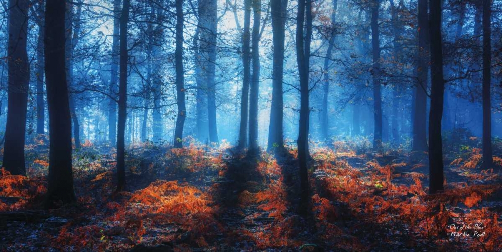Out of the Blue art print by Martin Podt for $57.95 CAD