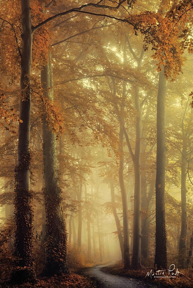 The Path of Liberation art print by Martin Podt for $57.95 CAD