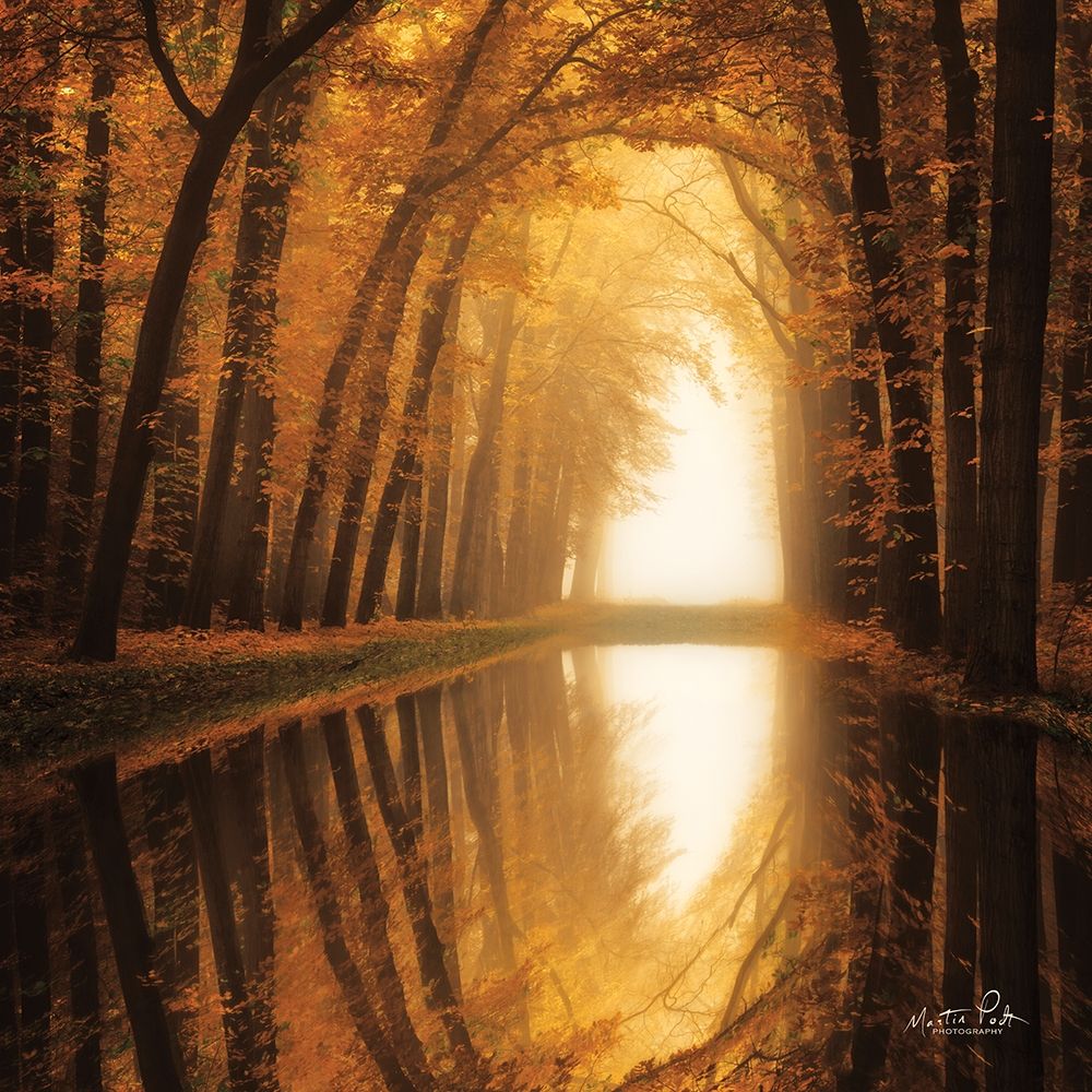 Lochem Reflections art print by Martin Podt for $57.95 CAD